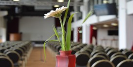 Blume in der Vase vor leerem Veranstaltungssaal