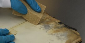 Foto von H&auml;nden in blauen Handschuhen, die mit einem Schwamm ein Buch reinigen