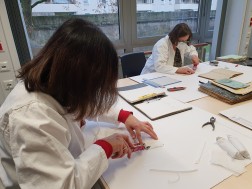 Foto: Zwei Frauen arbeiten an einem Tisch