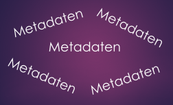 Grafil auf der nur "Metadaten" steht.